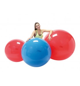 Balon de ejercicios Gymnic