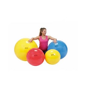 Balon de ejercicios Gymnic