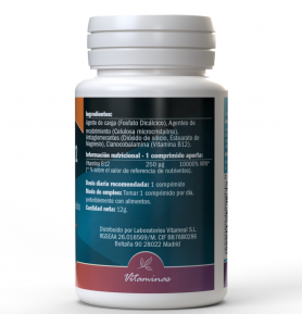 NaturBite Vitamina B12 250 mcg